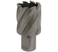 Worksafe RBHSS33S Rotabor Cutter HSS Ø33mm - Taglio Profondità 25mm