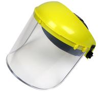Worksafe SSP10E Paracolpi E Visiera Completa