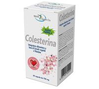 World Health Company Integratore Colesterina con Caigua e Coenzima Q10, 60 capsule