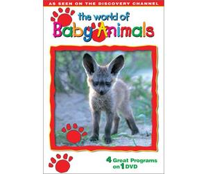 World of Baby Animals
