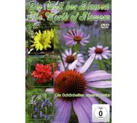 World of Flowers - World of Flowers