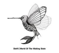 WORLD OF THE WAKING STATE