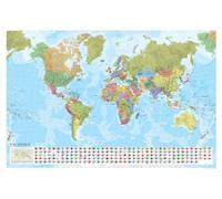 World Political Wall Map
