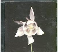 World Standard - Double Happiness