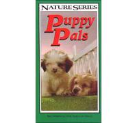 World War 2 Collection - World War 2 Collection