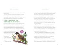World Without Birds: How to Save Our Planet, One Bird at a Time