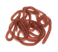 Worm Falsi Per La Pesca - 10 Di Lombrichi Falsi | Sostiturifoni Elastici Flessibili | Giochi Di Bavaglio Realistici Per Battute Pratiche | Divertimento Riutilizzabile Per I Colleghi Di Amici Di