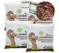 WormBox Lombrichi da 2kg (Circa 4,000 pz.) | Vivi lombrichi Eisenia, introduci/Aggiungi Vermi nel Tuo Giardino o orto, Riproduzione Molto Veloce