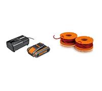 Worx Wa3601 Kit 1 Carica Batteria Rapido + 1 Batteria Power Share 20V/2.0Ah Agli