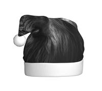 Woshuwo Cappello da Babbo Natale con leone bianco e nero