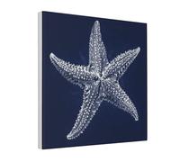 Woshuwo Stampa artistica da parete su tela blu navy con motivo stella marina bianca stampa estetica pittura per dormitorio camera da letto soggiorno, 30 x 30 cm con cornice