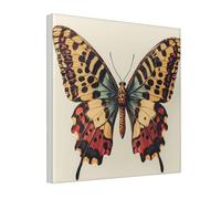 Woshuwo Stampa artistica da parete su tela con farfalla con ali leopardate per dormitorio, camera da letto, soggiorno, 30 x 30 cm, con cornice