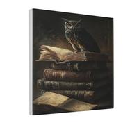 Woshuwo Stampa artistica da parete su tela con gufo su vecchi libri fantasy Dark Mood, stampa estetica per dormitorio, camera da letto, soggiorno, 30 x 30 cm con cornice