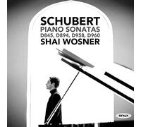 Franz Schubert – Sonate per pianoforte D845/D894/D958/D960 – CD – Onyx