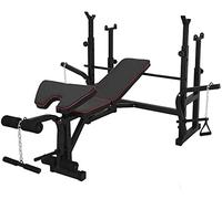 WOTZOV Panca con manubri per Fitness, Panca Multifunzionale per Sollevamento Pesi, Panca per pressa, Letto con bilanciere, Rack per Squat, Panca con bilanciere