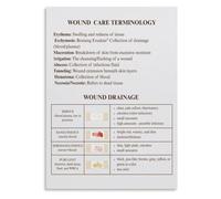 Wound Care Terms Poster Drainage Types Guide for Nursing Students
