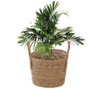 Woven Planter Basket | Woven, Natural, Handled Design | Decorative Flower Pot Holder | Rustic Plant Container For Living Room, Patio, Artificial Flowers