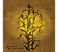 Wovenhand - Laughing Stalk