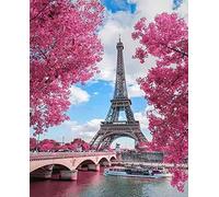 WOWDECOR Kit di pittura con i numeri, pittura a olio fai da te - Parigi Torre Eiffel Albero Rosa Romantico 40x50 cm (senza cornice)
