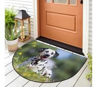 WowPrint Summe - Zerbino con cane dalmata per interni ed esterni, lavabile, assorbente, antiscivolo, 91,4 x 61 cm