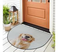 WowPrint Zerbino con cane dorato, tappetino per ingresso per interni ed esterni, lavabile, assorbente, antiscivolo, 91,4 x 61 cm