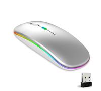 Wowssyo Mouse senza fili ricaricabile, supporta 2,4 GHz USB e mouse Bluetooth, mouse dual mode con illuminazione RGB, 800-1200-1600 DPI, per laptop, PC, iOS, Android, iPad, Windows, argento