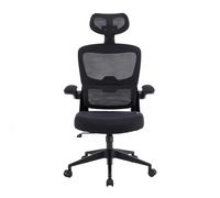 Woxter Ergo Black - Sedia da scrivania/Ufficio (ASSE in Acciaio, Sollevamento a pistone, retetraspirante, ergonomica, braccioli, Altezza Regolabile