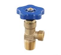 WP-15 Argon Gas Cilindro Valvola con Testa in Rame e Corpo in Acciaio per Apparecchiature di Saldatura, Compatibile con Regolatori Gas Industriali e Solde (Big Teeth Bottle Head)