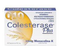 Wp Corporate Colesterase Plus 30 Capsule