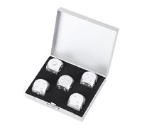 WPKD BLUEIY Set Di 5 Dadi Da Gioco,Dadi da Gioco da Tavolo in Lega di Alluminio,con Scatola di Immagazzinaggio,Dimensione dei dadi 1,6 * 1,6 * 1,6cm,per Giochi da Tavolo Poker(Argentata)