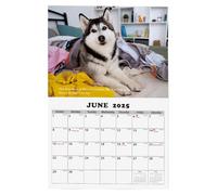 Wpsagek Calendario 2025 con planner, calendario da parete a tema husky, calendario 2025, con immagine chiara e colori vivaci, per familiari, amici, bambini