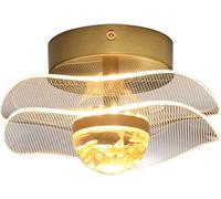 WQHPLMD 6W LED Ceiling Lamp Nordic Flush Mount Flower Chandelier for Hallway, Bedroom & Living Room Lighting - Includes Accessories