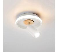 WQHPLMD LED Shallow Mounting Ceiling Light with 3-Color Mode, Round Plate Accent Spot Lamp - 31W Gallery Picture Lighting, Wood Directional Spotlights