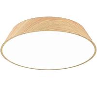 WQHPLMD Nordic Metal Ceiling Lamp with Acrylic Shade - LED Light Fixture for Home Decor