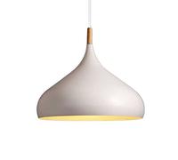 WQHPLMD Restaurant Chandelier Loft Chandelier Pendant Light e27 Base 1 Light LED Ceiling Light Fixture Dining Room Lamp Creative Hanging Lamp Dining Room Lighting Fixture (Color : a White, siz