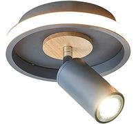 WQHPLMD Round Plate Accent Spot Lamp - LED Ceiling Light, Including Mounting Accessories (20x20cm)