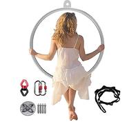 WQZzjm Aerial Lyra Hoop,Stainless Steel Lyra Hoop for Adult, Standard Acrobatic Fitness Aerial Hoop Set, Heavy Duty Gym Home Yoga Ring Hoop for Dance Weight Loss (Diameter100cm(39 3/8"))