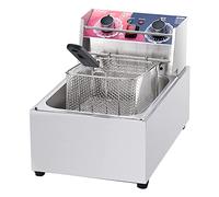 WQZzjm Friggitrice Professionale da 10 Litri e 2500 W, friggitrice elettrica Professionale in Acciaio Inox con cestello per friggere e Timer da 60 Minuti per la Cottura di Alimenti e Patatine Fritte