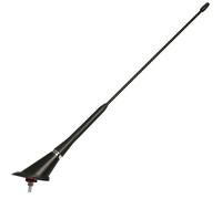 WRC 007504 Antenna autoradio
