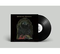 Wrekmeister Harmonies We Love to Look at the Carnage (Vinyl LP) 12" Album