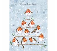 Wrendale Designs - Biglietto per calendario dell'avvento Rockin Robins