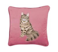 Wrendale Designs by Hannah Dale - Cuscino ricamato con gatto "Feline Fabulous"