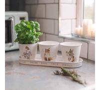 Wrendale Designs By Hannah Dale - Set di 3 vasi per erbe aromatiche e vassoio "Woodland"