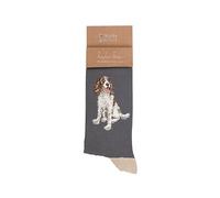 Wrendale Designs by Hannah Dale Willow' Spaniel - Calzini da uomo, Grigio, 7-11