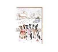Wrendale Designs - Calendario dell'Avvento Border Collie con scritta "While Shepherds Watched"