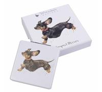 Wrendale Designs Compatto Specchio Questa sensazione del Venerdì Cane Dashund