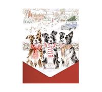 Wrendale Designs - Confezione di biglietti di Natale con cane mentre i pastori guardavano