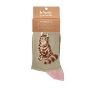 Wrendale Designs Feline Fabulous' Cat Socks
