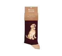 Wrendale Designs - Good as Gold' Labrador Calzini Uomo, Multi, 7-11