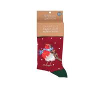 Wrendale Designs – Calzini per bambini – Stagione Tweetings' Robin – Multi – Taglia 9-12